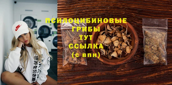 герыч Сосновый Бор
