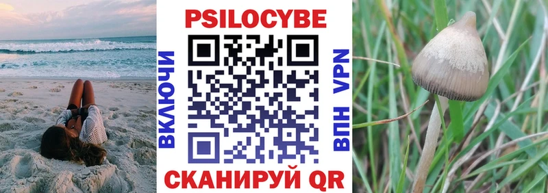 Псилоцибиновые грибы MAGIC MUSHROOMS  Купить закладки  Любань 